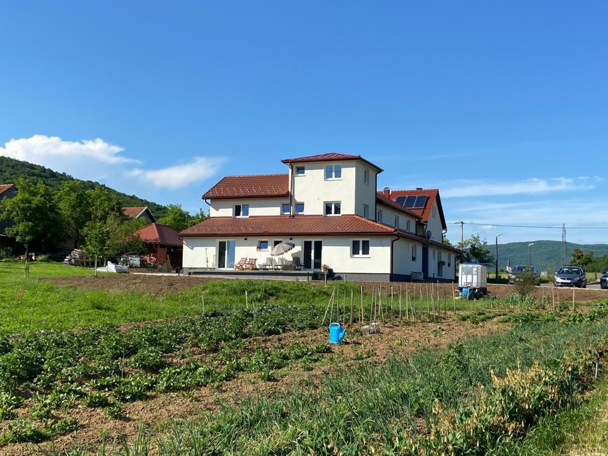Apartman Fenestra S Terasom I Pogledom Na Gacku Otočac Exteriér fotografie